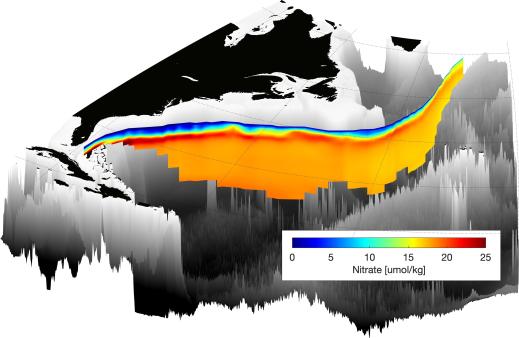 Graphic of floats